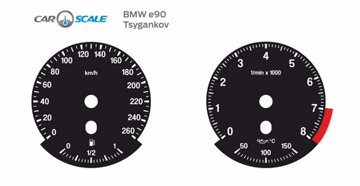 BMW E90 10