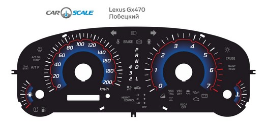 LEXUS GX470 04