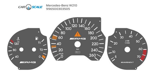 MERCEDES BENZ W210 OLD 09
